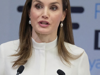 MADRID, SPAIN - MAY 29: Queen Letizia of Spain attends the 10th Anniversary of 'Microfinanzas BBVA' at the BBVA Bank Foundation on May 29, 2...