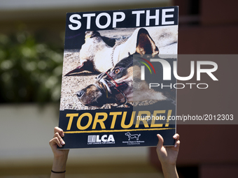 Animal rights activists gather in front of the Chinese Consulate General in Los Angeles to protest China's dog meat trade and Yulin Dog Meat...