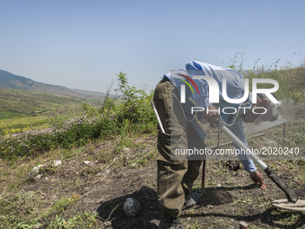 Deminer of HALO Trust organisation searches for landmines with  his metal detector in the hills of Nagorno Karabakh, on 13 June 2017. Mines...