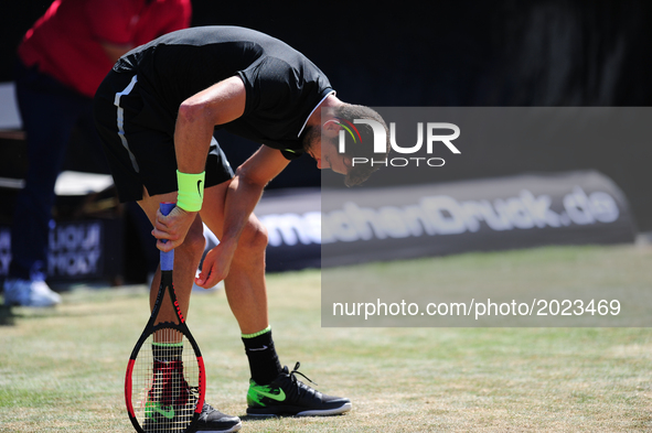 Grigor Dimitrov (BUL) during a match against Jerzy Janowicz (POL) in the round of eight of the Mercedes Cup in Stuttgart, Germany on June 15...