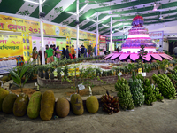 Verities fruits displayed in the National Fruit exhibition at Agricultural Institute in Dhaka, Bangladesh, on June 16, 2017. Bangladesh Agri...