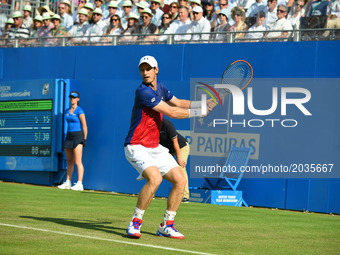 Andy Murray (GBR) on the Centre Court of AEGON Championships at Queen's Club, London, on June 20, 2017. (