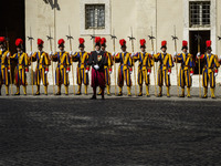 Swiss Guards stand on duty as King Willem Alexander and the Queen Maxima of the Netherlands arrive at the Apostolic Palace to attend a priva...