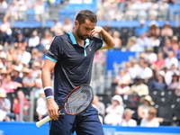 Croatia's Marin Cilic reacts during his men's singles second round match against Stefan Kozlov of the US at the ATP Aegon Championships tenn...