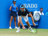 John Thompson (AUS) against Sam Querrey (USA) during Men's Singles Round Two match on the fourth day of the ATP Aegon Championships at the Q...