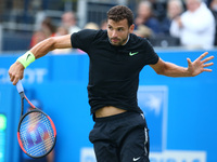 Grigor Dimitrov BUL against Feliciano Lopez (ESP) during Men's Singles Semi Final match on the day  six of the ATP Aegon Championships at th...