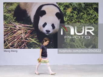 A girl walks past the pictures of panda couple Meng Meng (little dream) and Jiao Qing (little treasure) before their arrival at the cargo te...