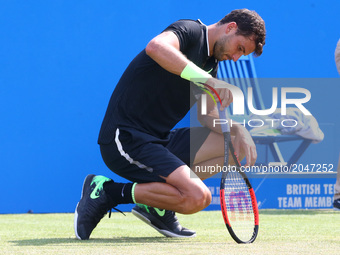 Grigor Dimitrov BUL against Julien Benneteau (FRA)  during Round Two match on the third day of the ATP Aegon Championships at the Queen's Cl...