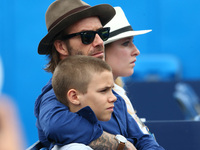 David Beckham and Romeo Beckham watching Sam Querrey (USA) during Men's Singles Round Two match on the fourth day of the ATP Aegon Champions...