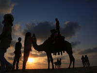 Palestinians ride a camel in the sunset at Gaza beach , in Gaza City, 05 July 2017. (