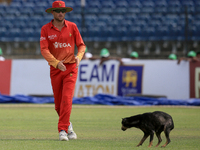 Zimbabwe's Sean Williams looks on at a  dog that ran in to the field during the third one-day international (ODI) cricket match between Sri...