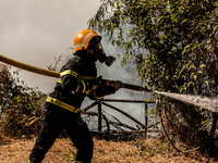 Naples wildfires have quickly spread on Vesuvio, threatening hundreds of home, 
firefighters battle Vesuvio wildfires, Naples Sud Italy, Ju...