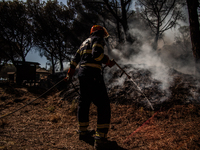 Naples wildfires have quickly spread on Vesuvio, threatening hundreds of home, 
firefighters battle Vesuvio wildfires, Naples Sud Italy, Ju...