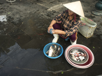 A woman sells fish on a street in Hoian (VIETNAM) people make most of their life on the street.
HOIAN-VIETNAM (