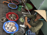 Area where fish is sold in Hoian market (Vietnam)
HOIAN-VIETNAM (