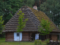 A general view of a house built in the second half of the 19th century, in the Folk Culture Open-Air Museum in Kolbuszowa. 
On Sunday, July...