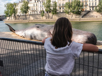 Demostration against the whales hunting: an association made a giant whales in front of the Notre Dame Cathedral in Paris on 21 July 2017. (