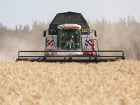 Harvester in the field. Harvesting combines in the fields of Novovodolazhsky district of Kharkiv region, Ukraine on July 25, 2017. (