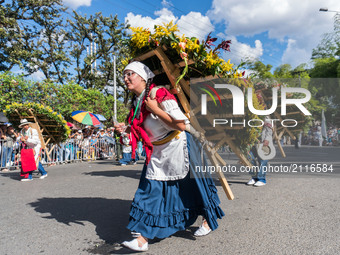 A woman carries flowers with the wooden crate in her back during the last day of the Festival of the Flowers at Guayabal avenue in Medellin,...