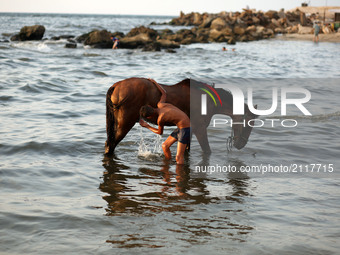 A Palestinian boy  bathes his horse in the Mediterranean Sea in Gaza City on August 9, 2017
 (