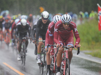 The peloton of riders led by riders from Team Katusha-Alpecin during the opening stage, the 156.5km from Engenes (on Andorja Island) to Narv...