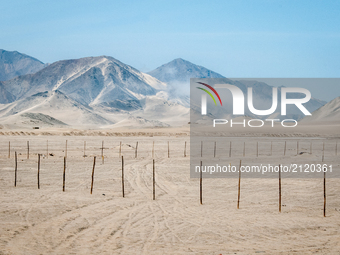 Landscape in the Sechura Desert of Peru. Photo taken March 26 2012. (