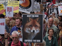 People with signs as animal rights activists protest  though central London, UK, on 12 August 2017. As the Grouse shooting season starts in...