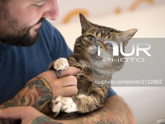 Lil Bub and Mike Bridavsky attend CatCon in Pasadena, California on August 13, 2017. The two-day event includes meet and greets with celebri...