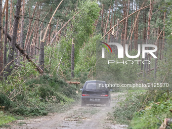 Fallen trees in the forest are seen near the Sylczno village , northern Poland on 14 August 2017  Storms which on Friday 11th, August night...