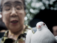 A elderly woman attends an event for peace and as a tribute to the war dead during a ceremony at the Yasukuni Shrine in Tokyo, Japan, 15 Aug...