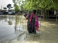 Woman with her belonging move other place when all area under the floodwater at Sariakandhi, Bogra, Bangladesh 15 August 2017. Flood-related...