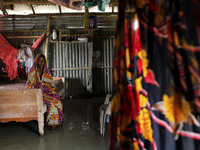 Jamila at her home when all area under the floodwater at Sariakandhi, Bogra, Bangladesh 15 August 2017. Flood-related incidents in Dinajpur,...