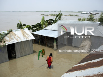 A girl way her home when all area under the floodwater at Sariakandhi, Bogra, Bangladesh 15 August 2017. Flood-related incidents in Dinajpur...