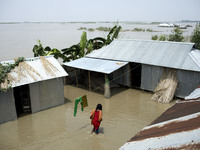A girl way her home when all area under the floodwater at Sariakandhi, Bogra, Bangladesh 15 August 2017. Flood-related incidents in Dinajpur...