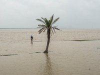 On 28 August 2017 in Ghoramara, India. Due to the abrupt upliftment in sea level , 60% land of ghoramara island has gone underwater. Ghorama...