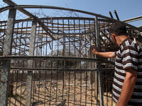 Farid al-Hissi, a zookeeper, inspects the damage inflicted upon the lion cage by an Israeli military strike at the Bisan City tourist villag...