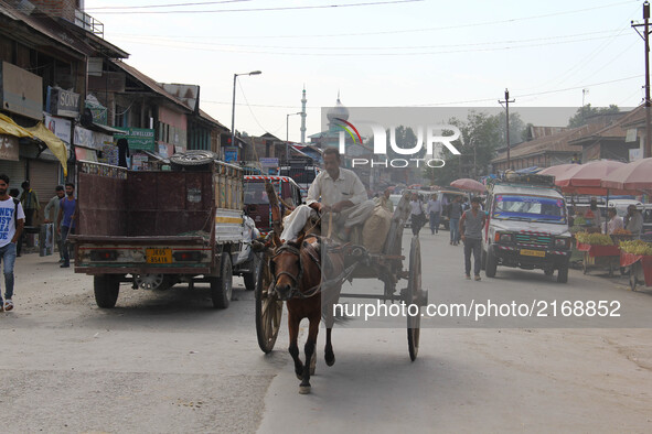 A man on his horse cart in Sopore town of District Baramulla on 7 September 2017. Baramulla district is one of the 22 districts in the India...
