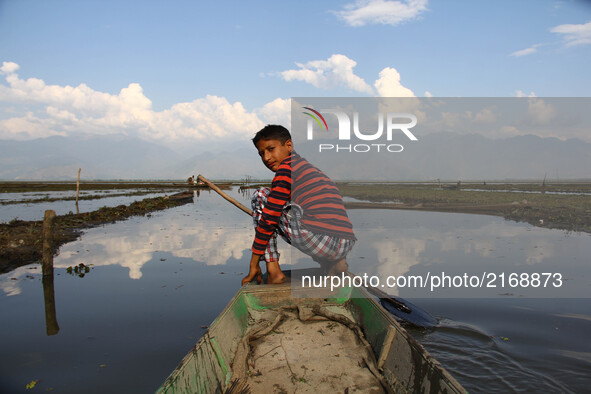 Amir, a 7th class student ready to row his boat in the Wular Lake, 60 km north of Srinagar.  It is sited in Bandipora district in the Indian...