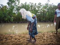 Rohingya ethnic minority elderly looking for temporary makeshift camp after crossing over from Myanmar into the Bangladesh side of the borde...