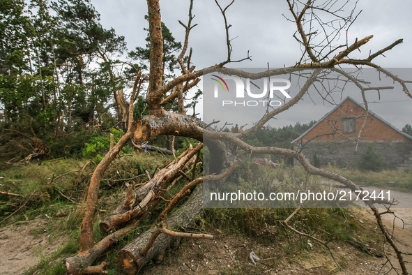 Damaged  during the tragic storm  house is seen in Trzebun, northern Poland on 8 September 2017 . EU Parilament members visited areas affect...