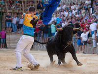 Man dodge a Fighting bull on the village square during the second bull run of the popular festival on Aýna (Albacete), southeast Spain on Se...