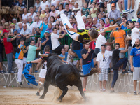 Man jumps a Fighting bull on the village square during the second bull run of the popular festival on Aýna (Albacete), southeast Spain on Se...