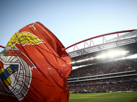 Benfica flag  during the Champions League  football match between SL Benfica and CSKA Moskva at Luz  Stadium in Lisbon on September 12, 2017...
