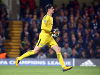 Chelsea's Thibaut Courtois
during UEFA Champions League - Group C match between Chelsea and FK Qarabag at Stanford Bridge, London 12 Sept  2...