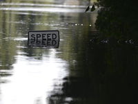 The hight of a speed sign indicate the hight of water levels at Scenic Drive, in Middleburg, Florida, USA,  on September 12, 2017. Residenti...