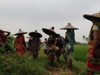 
Women with a traditional hat 
