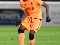 Ovie Ejaria of Liverpool
during Premier League 2 Division 1 match between West Ham United Under 23s and Liverpool Under 23s at Dagenham and...
