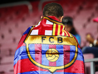 FC Barcelona supporter during La Liga match between FC Barcelona v SC Eibar , in Barcelona, on September 19, 2017.  (