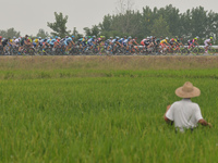 The peloton during the third stage of the 2017 Tour of China 2, the 94km Changde Hanshou Circuit Race. 
On Thursday, 21 September 2017, in H...