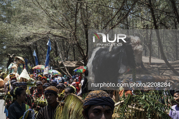 Javanese people follow the ritual ceremony of labuhan 1st Suro (Javanese calendar) during the Islamic New Year celebration at Goa Cemara bea...
